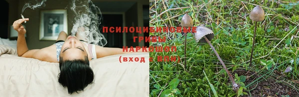 гашиш Нефтекумск