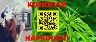 амф Кингисепп
