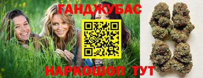 амф Кингисепп