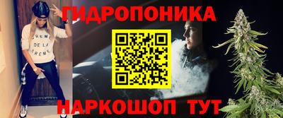 крисы Кинель