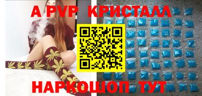 амф Кингисепп