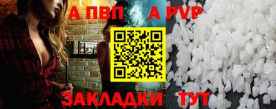 амф Кингисепп