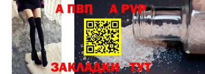 амф Кингисепп