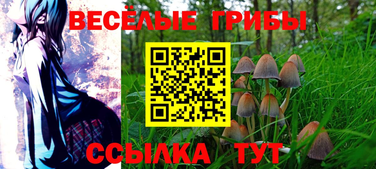 Пенза  Псилоцибиновые грибы мицелий  Вход с VPN 
